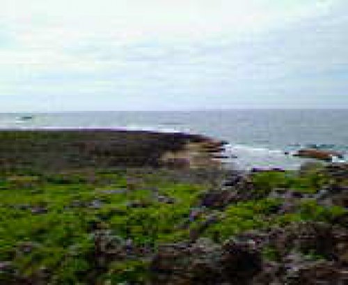 残波岬